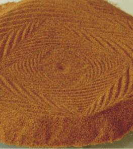 Spuren im Sand Bild 5